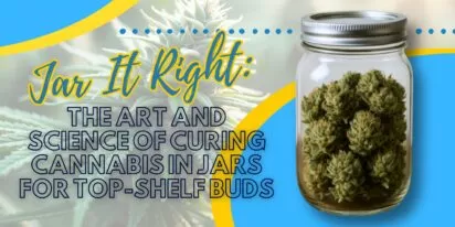 Jar It Right: The Art and Science of Curing Cannabis in Jars for Top-Shelf Buds