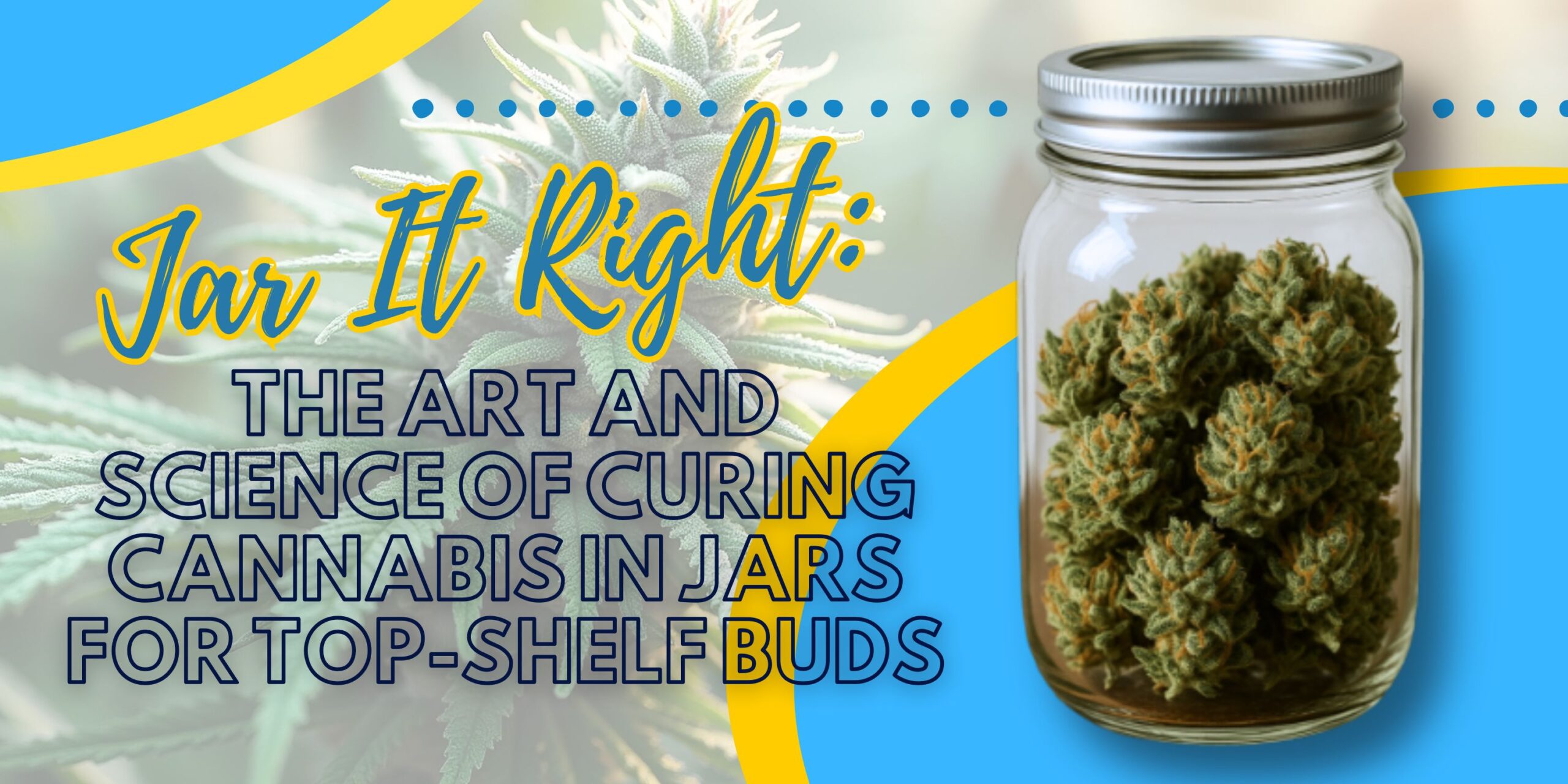 Jar It Right: The Art and Science of Curing Cannabis in Jars for Top-Shelf Buds