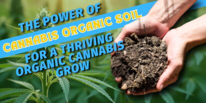 The Power of Cannabis Organic Soil for a Thriving Organic Cannabis Grow