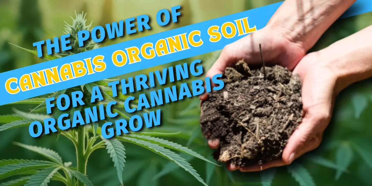 The Power of Cannabis Organic Soil for a Thriving Organic Cannabis Grow