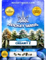 Creamy Z Feminized Seeds