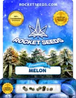 Melon Feminized Seeds