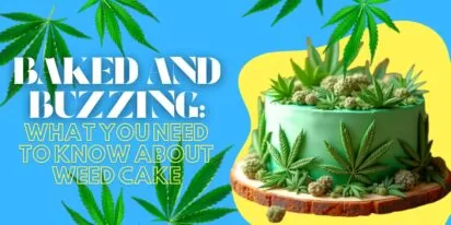 Baked and Buzzing: What You Need to Know About Weed Cake