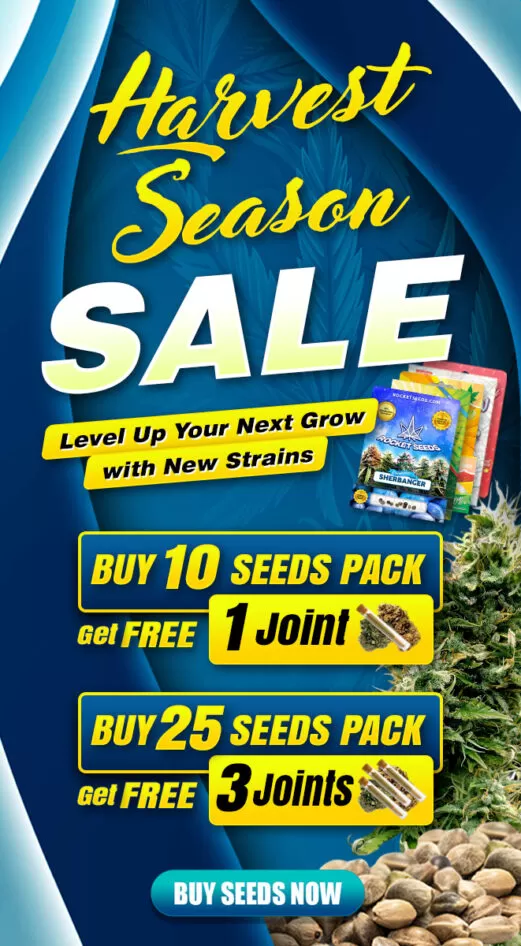 banner mobile