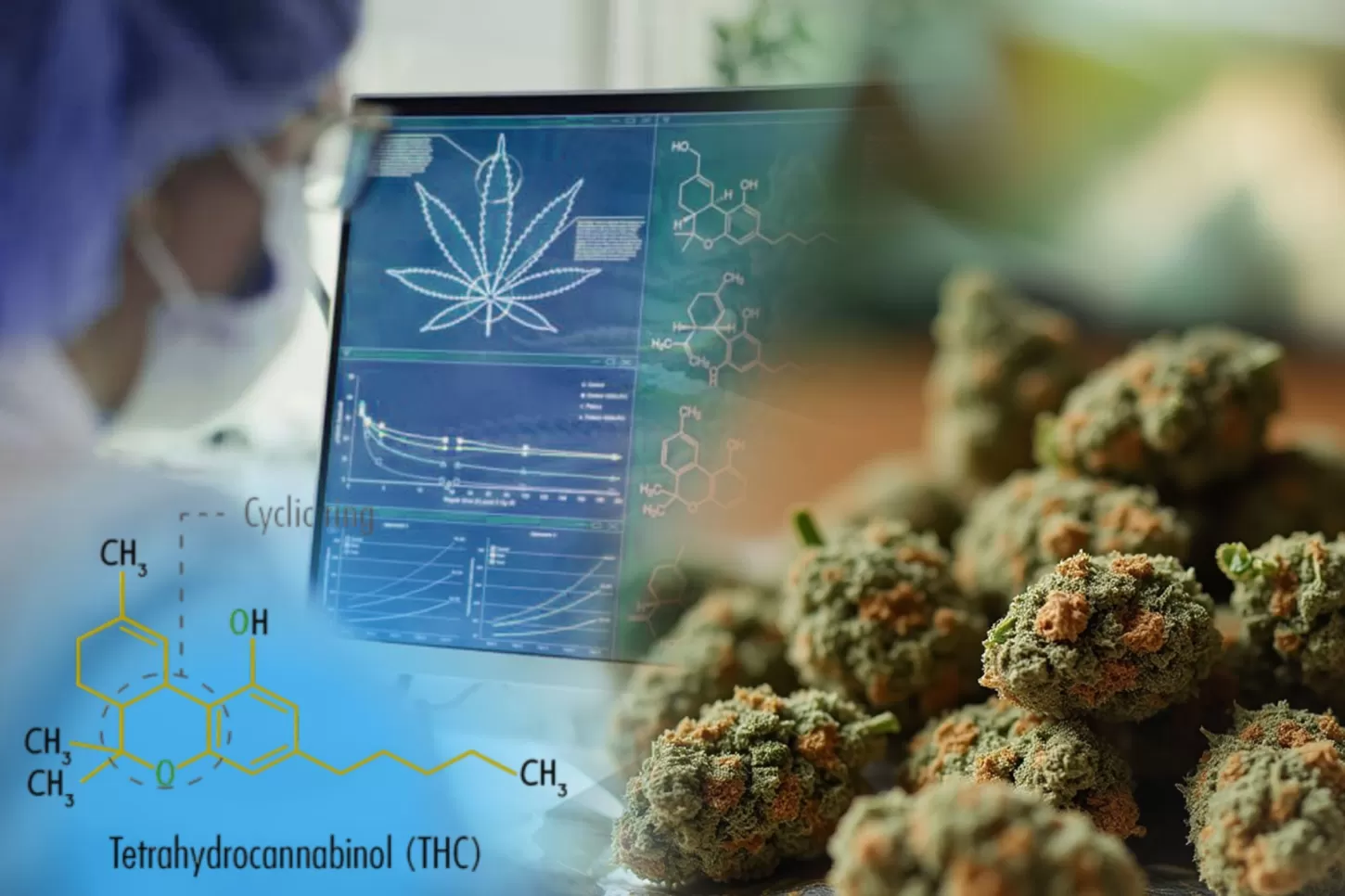 How to Read THC Potency Numbers