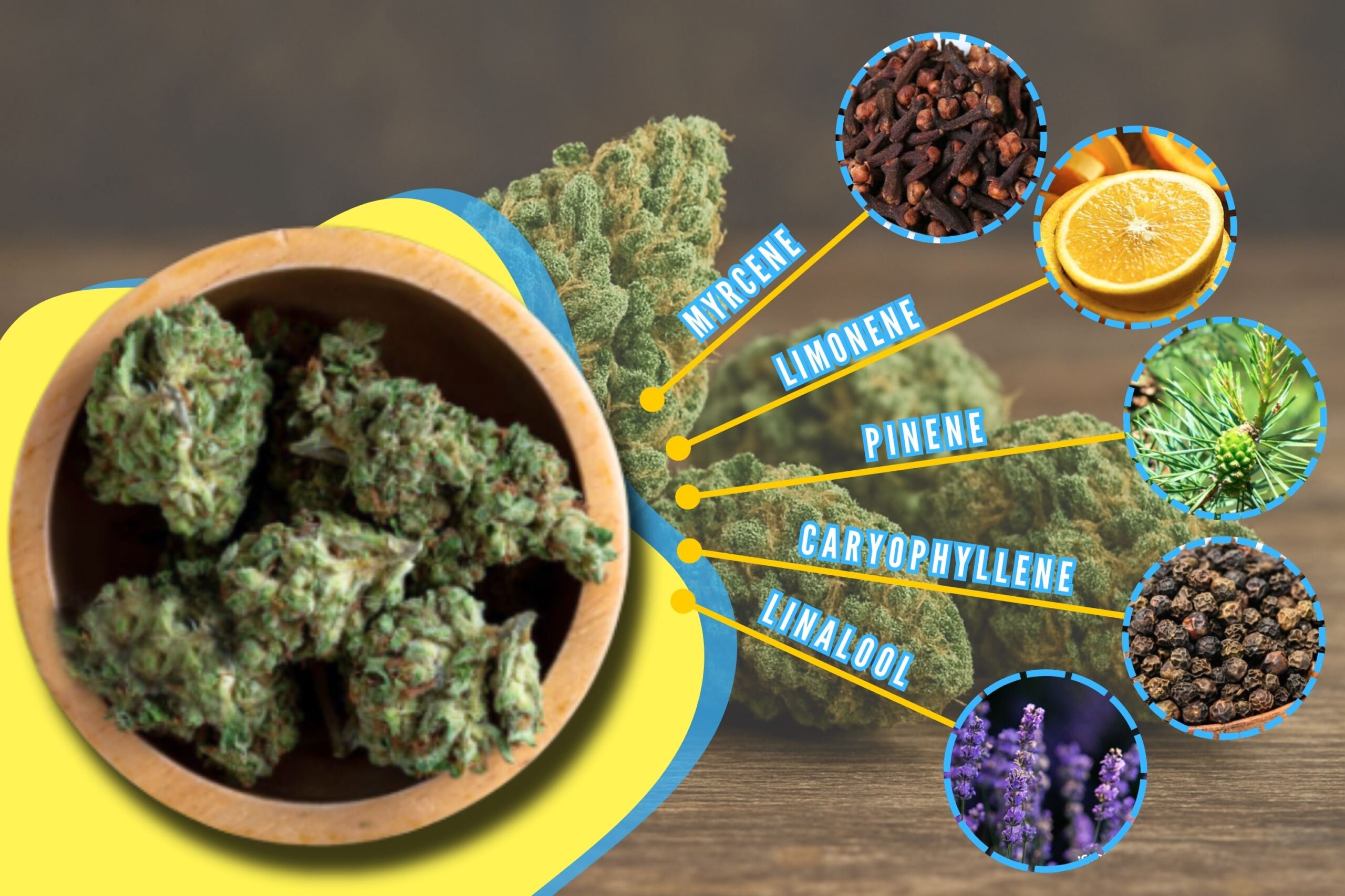 The Science Behind Weed Taste