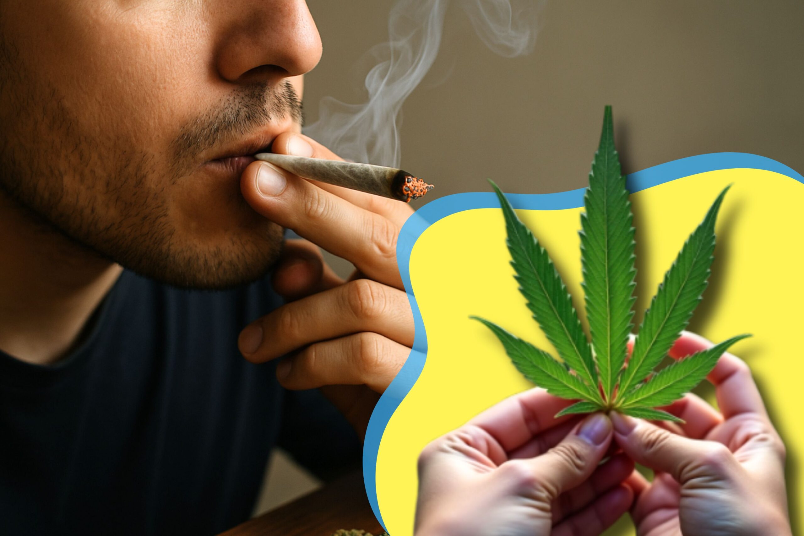 Understanding Weed Taste: What You Need to Know