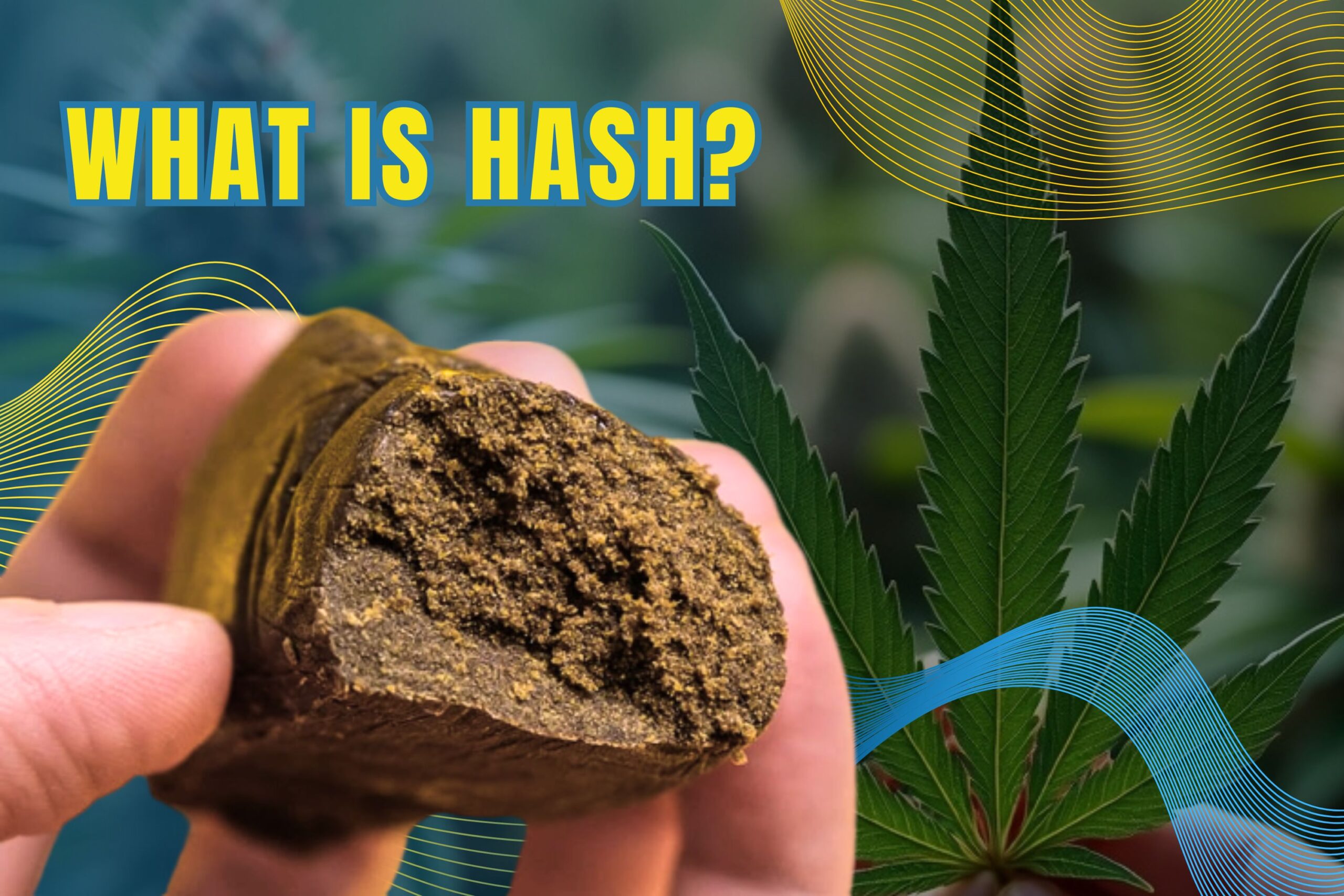 What Is Hash