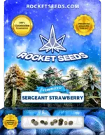 Sergeant Strawberry Feminized Seeds