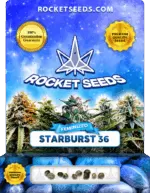 Starburst 36 Feminized Cannabis Seeds