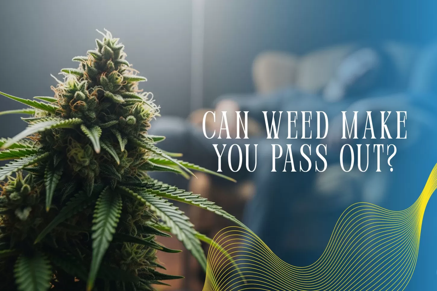 Can Weed Make You Pass Out_