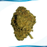 Girl Scout Cookies Flower