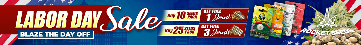 RocketSeeds SingleP Desktop Banner