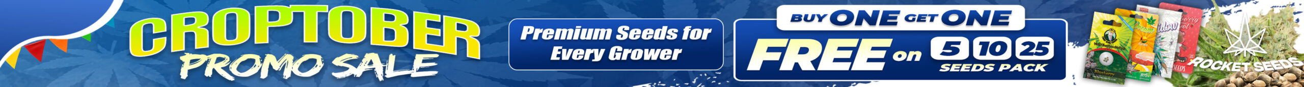 RocketSeeds SingleP Desktop Banner