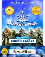 Cookie Casket Strain Feminized Cannabis Seeds