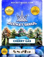 Cherry Gas Feminized
