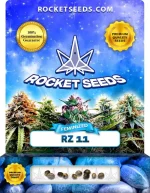 RZ 11 Strain