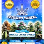 Emerald Lychee Walker Strain