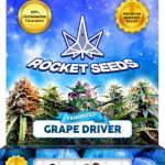 Grape Driver Strain