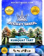 Kumquat Tart Strain