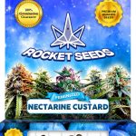 Nectarine Custard Strain