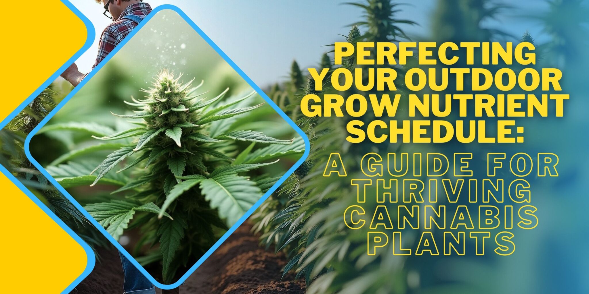 Perfecting Your Outdoor Grow Nutrient Schedule
