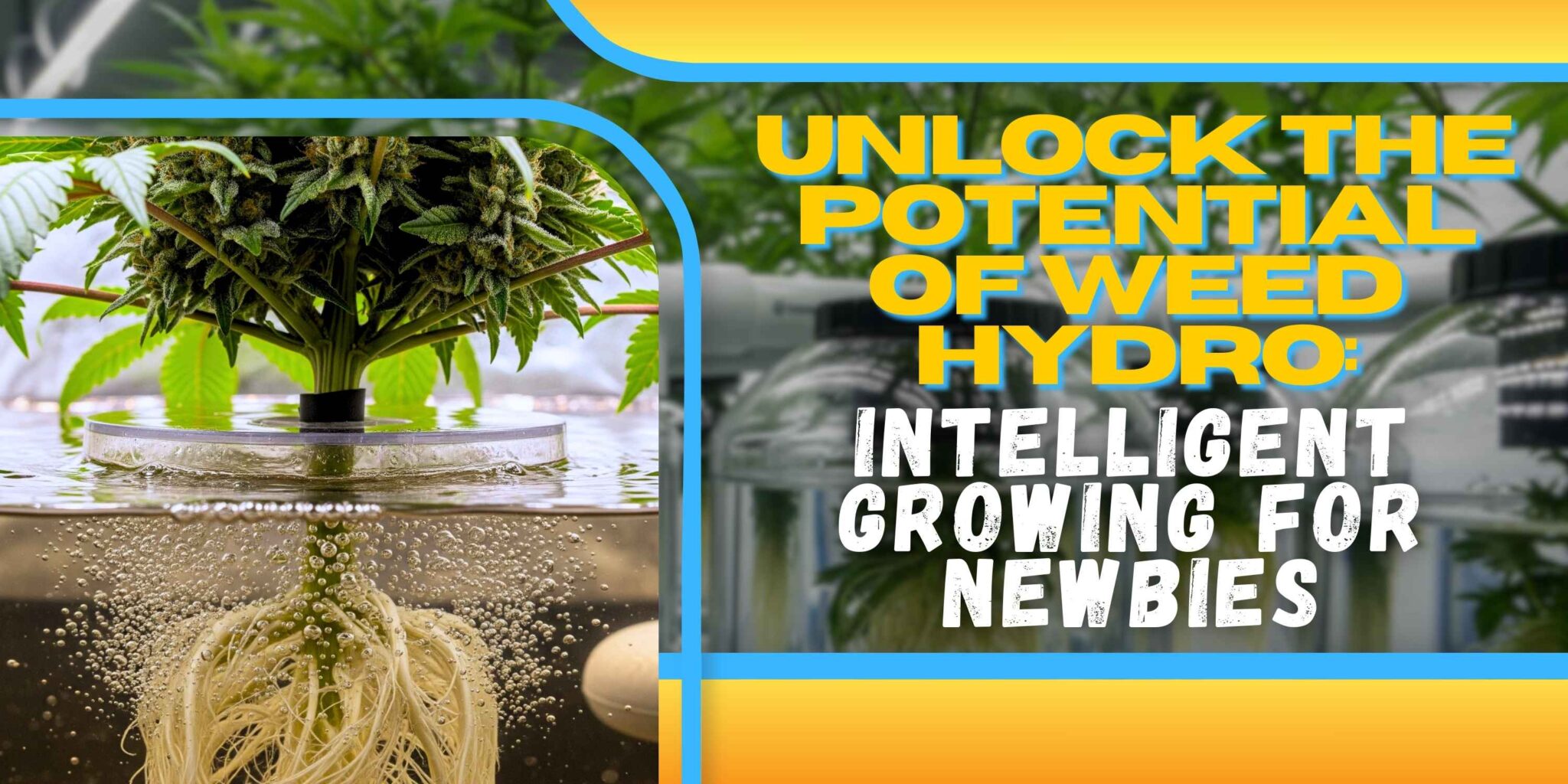 Unlock the Potential of Weed Hydro: Intelligent Growing for Newbies